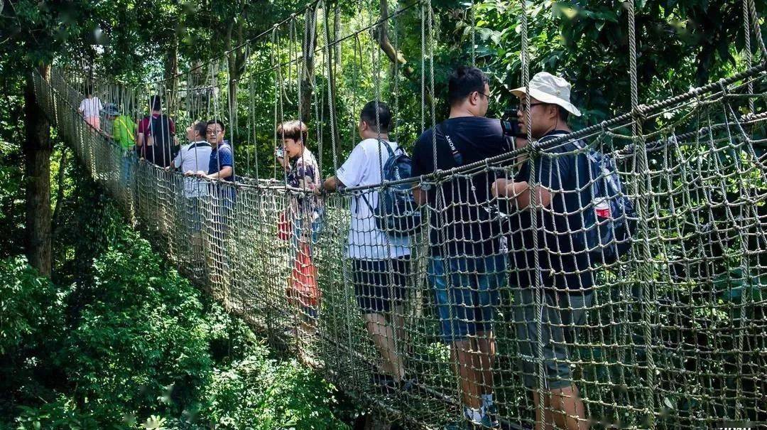 热带雨林|还好吃!【逛吃】西双版纳不仅美