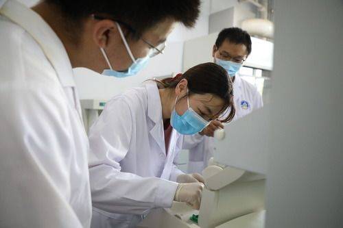 祁连山|祁连山野生菌物“卫士”暑期研究忙