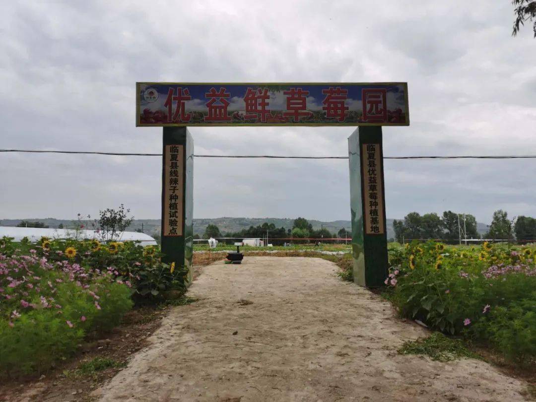 临夏市有多少人口