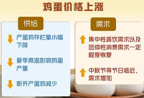朱宁|供需结构变化助推鸡蛋价格走高 后市行情仍将偏暖