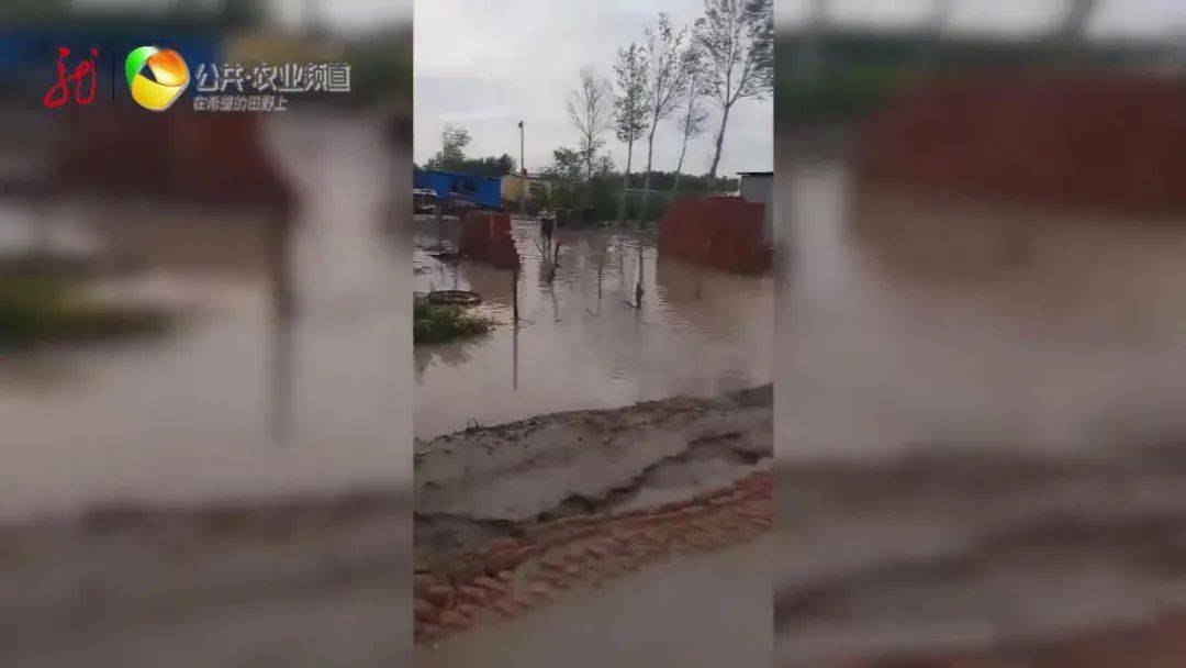 什么时候才能下一场雨 81f1e3794fc74e4f93bffe94ed222d0e.jpeg