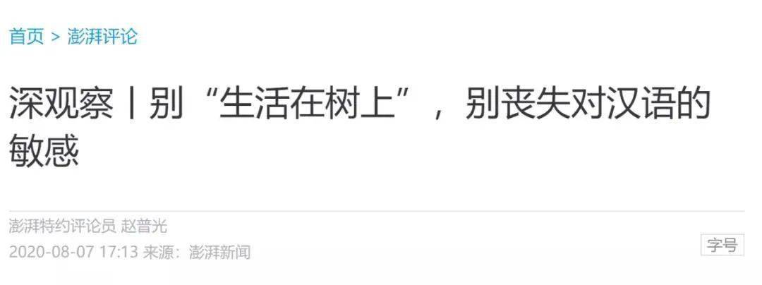 作文|遭实名举报被调查！裁判与教练怎能同任？浙江满分作文阅卷组长陈建新