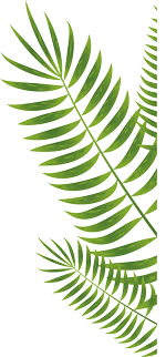 b630b25a2b6f46deaf930a78a7bdc124.png