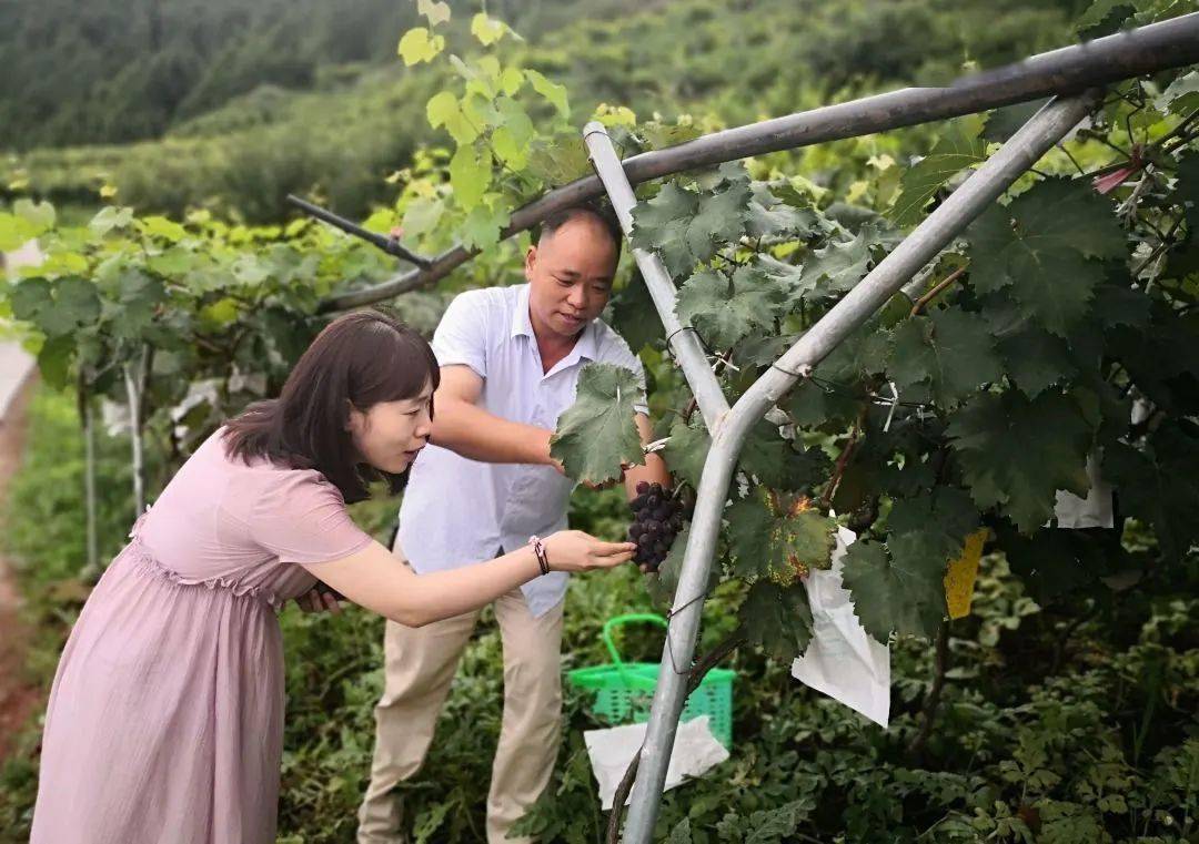 四川省返乡下乡创业明星——宋明勇 