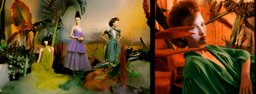 口碑|口碑炸裂的它，这次真的藏不住要火了