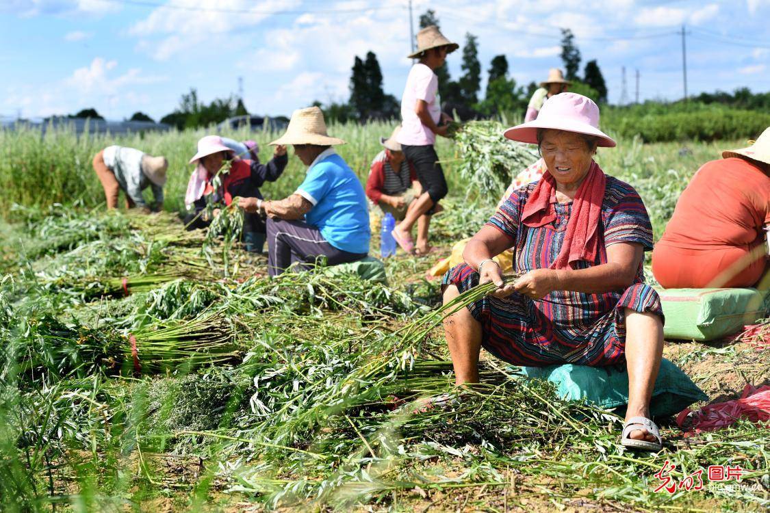 江西省丰城市小港镇GDp_丰城市小港镇村分布图