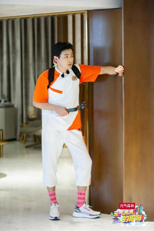 哥哥|《元气满满的哥哥》收视四网第一全民热度爆涨黑马领跑夏综