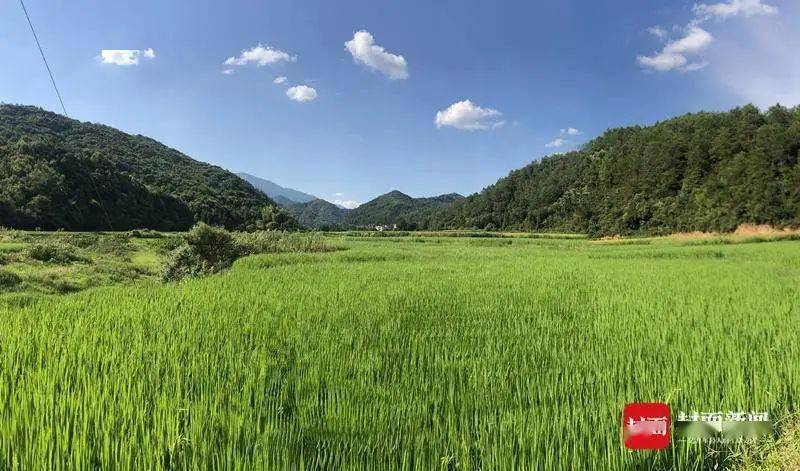山砀人口(2)