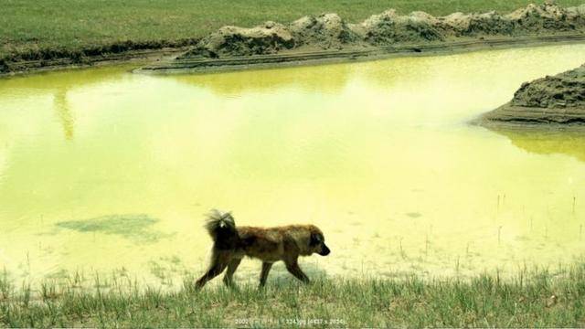 还在无人区里找浪漫？“死亡之地”了解一下