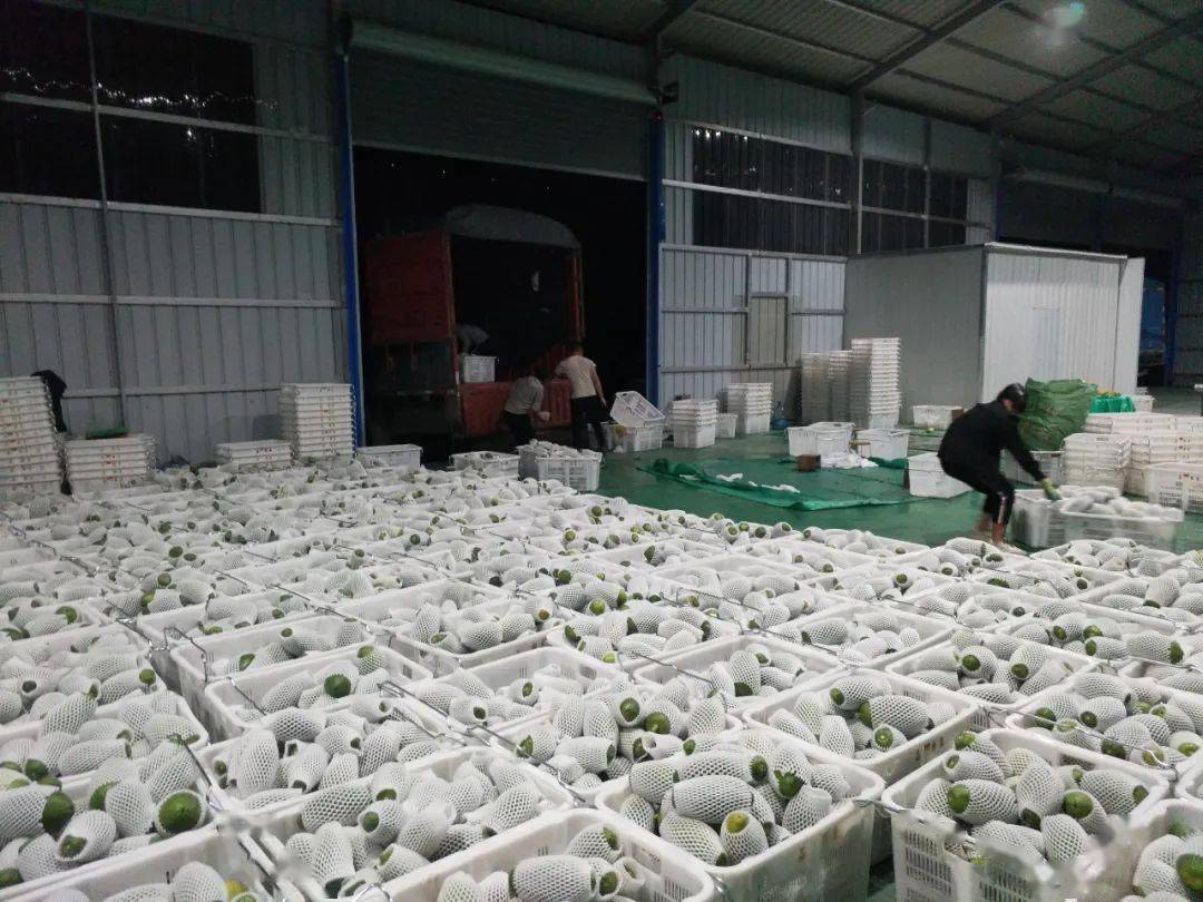 屏边县的GDP是多少_屏边县(3)