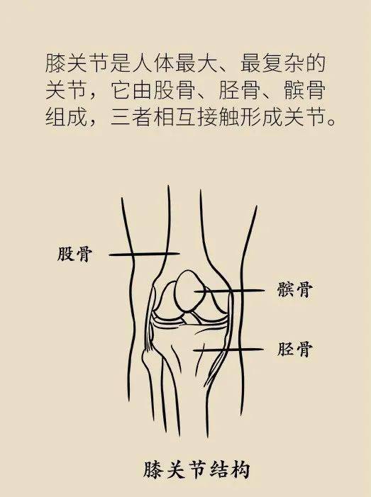 f5c3e5d5e20b4f81a19aee258ae8fefd.jpeg