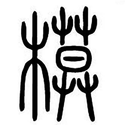 楷模|字里行间丨楷模原是两棵树