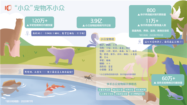 快手|《2020快手宠物生态报告》发布：每两位快手宠物作者就有一位在快手获得收入