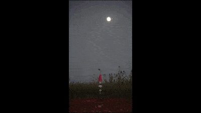 手机|看完别人的暑假，手里的手机突然不好玩了…