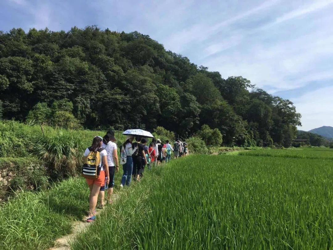 赋春研旅丨望山生活二期研学活动剪影