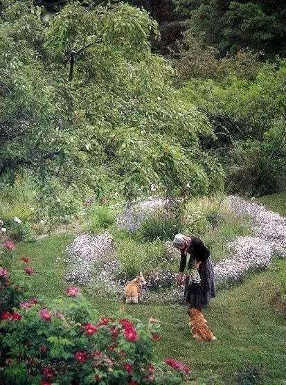 习惯|优雅到老该有的40种好习惯，真得好好看看！受益无穷