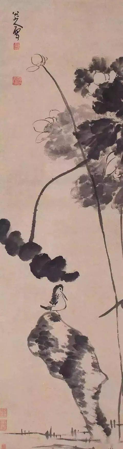书画| 八大山人笔下的荷,可乘凉_荷花