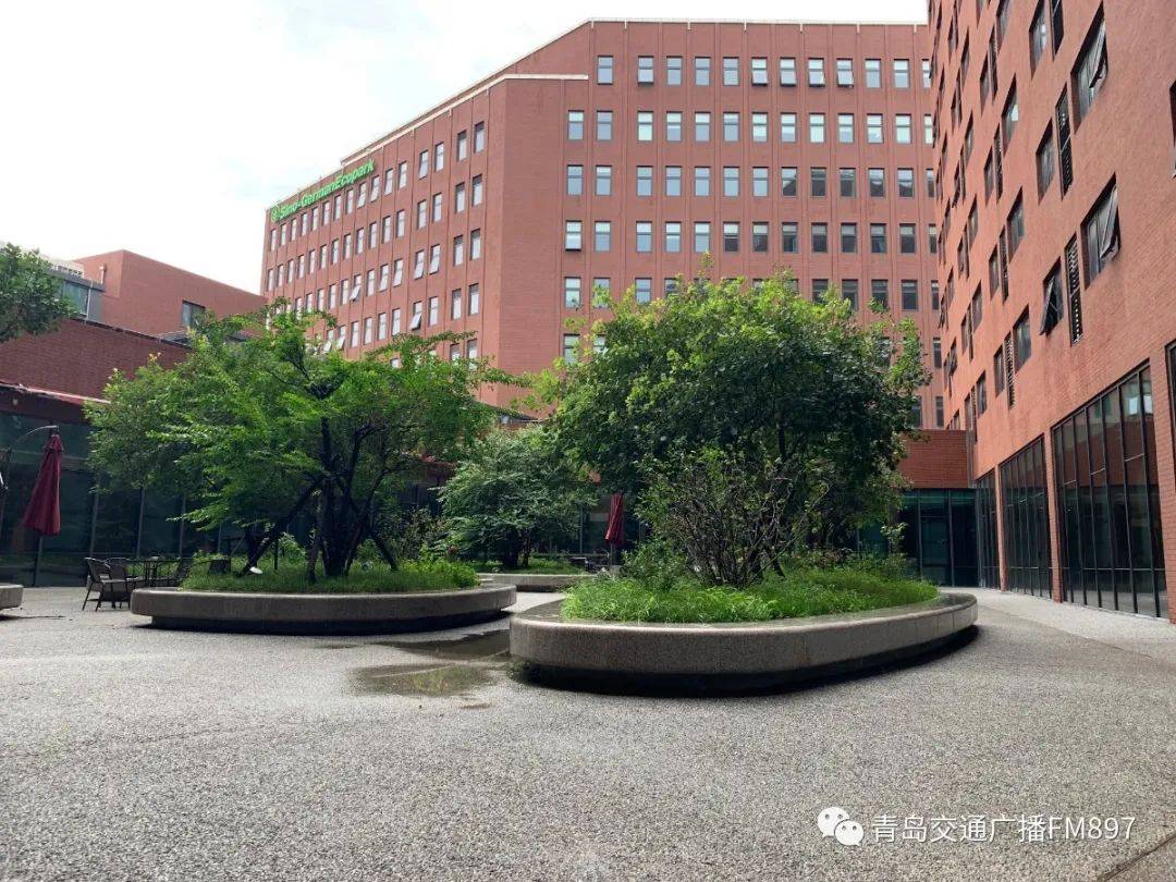 特训|赢在大学前！897主播为准大学生们传授独门绝技，名额仅剩...