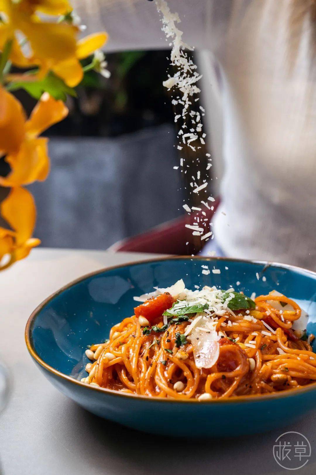 植物园|魔都也有了!帝都刷屏的“植物园餐厅”