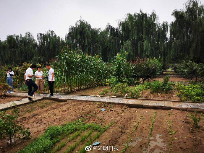 开心农场|学校里有个“开心农场”