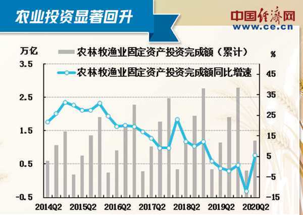 黄龙县2019年农业经济总量_农业银行图片