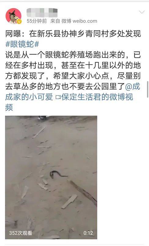 新乐市|800条眼镜蛇全部出逃？回应来了