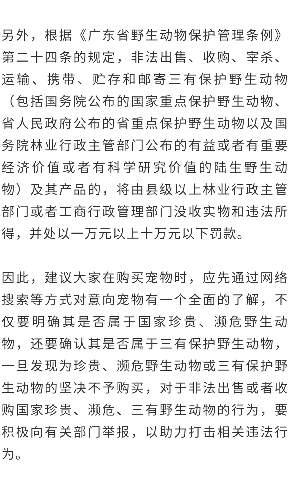 鹦鹉的简谱_鹦鹉卡通图片(2)