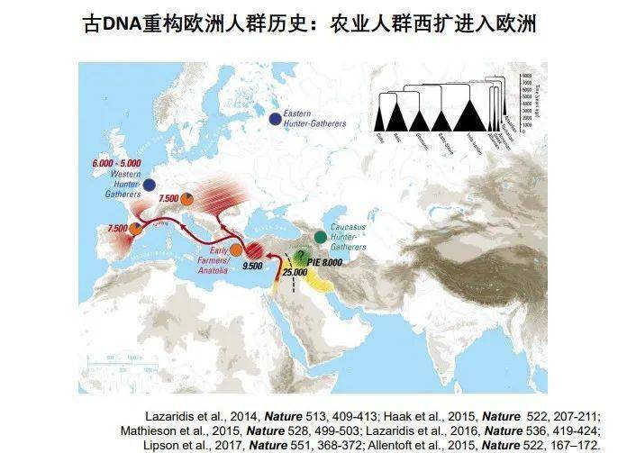 赫梯人口_赫梯帝国(2)