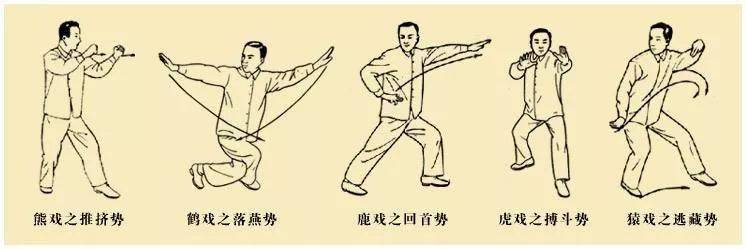 健康养生：华佗《五禽戏》高清视频、图解（珍藏）