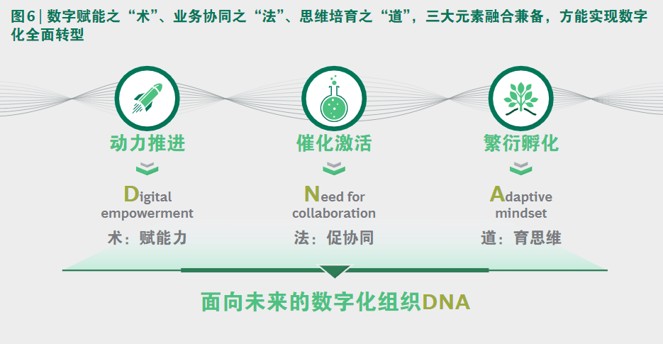打造传统企业组织转型的 双螺旋 引擎 数字化