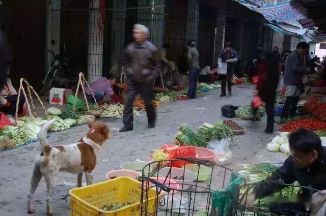 丰顺多少人口_丰顺大宝山旅游景区