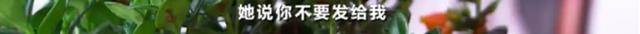 每粒|880元的微商减肥产品含禁药 每粒成本只有七八毛钱