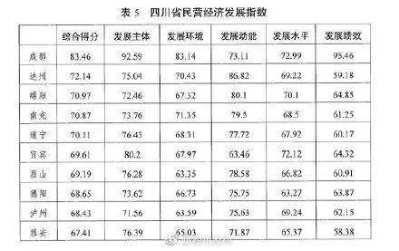 绵阳今年经济总量有多少_绵阳辽安路限速多少(3)