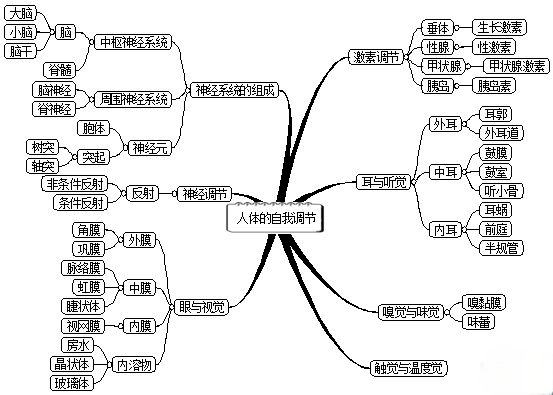 初中生物七年级上册课本思维导图暑期预习