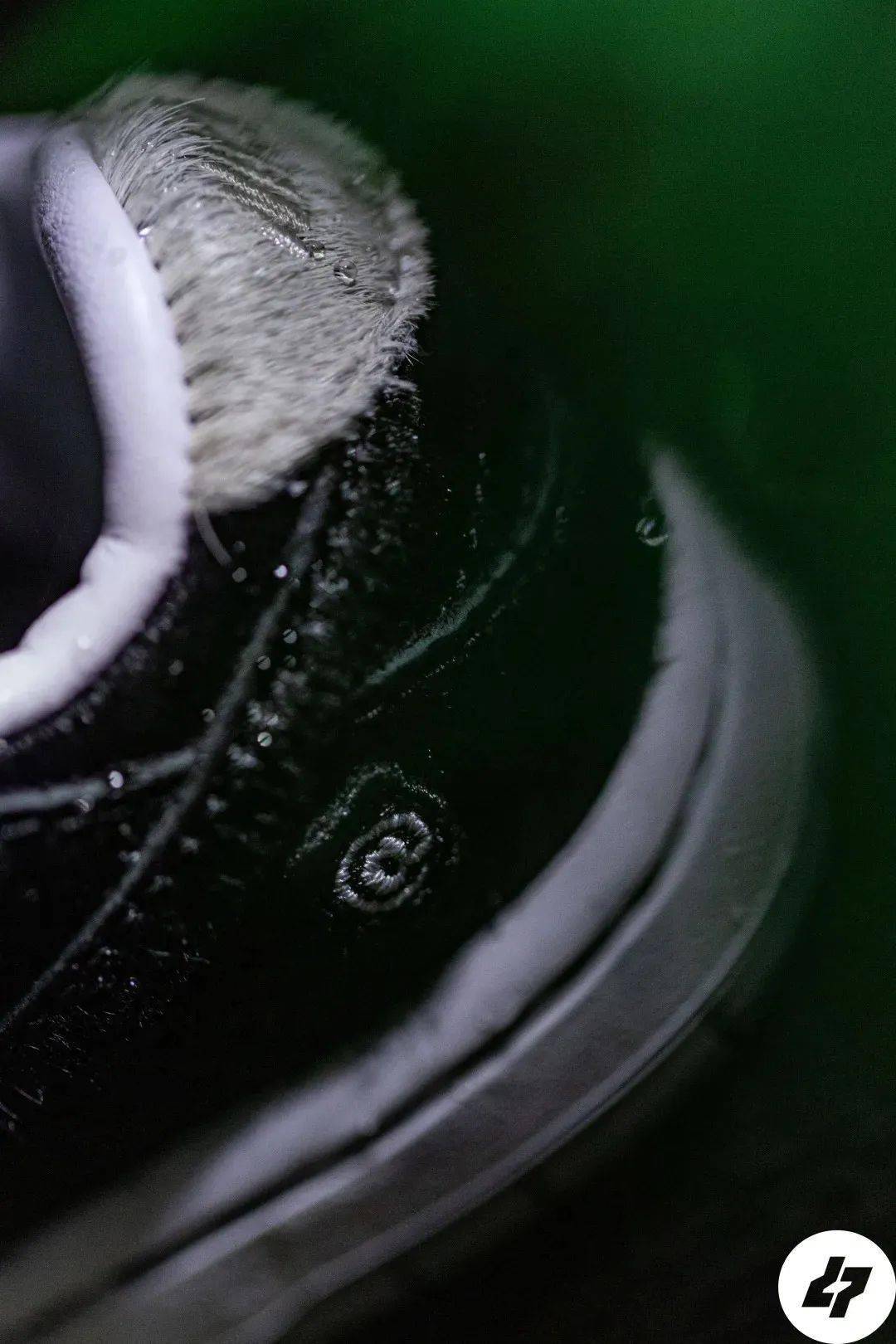 Dunk|这只“熊”将再度掀起热潮