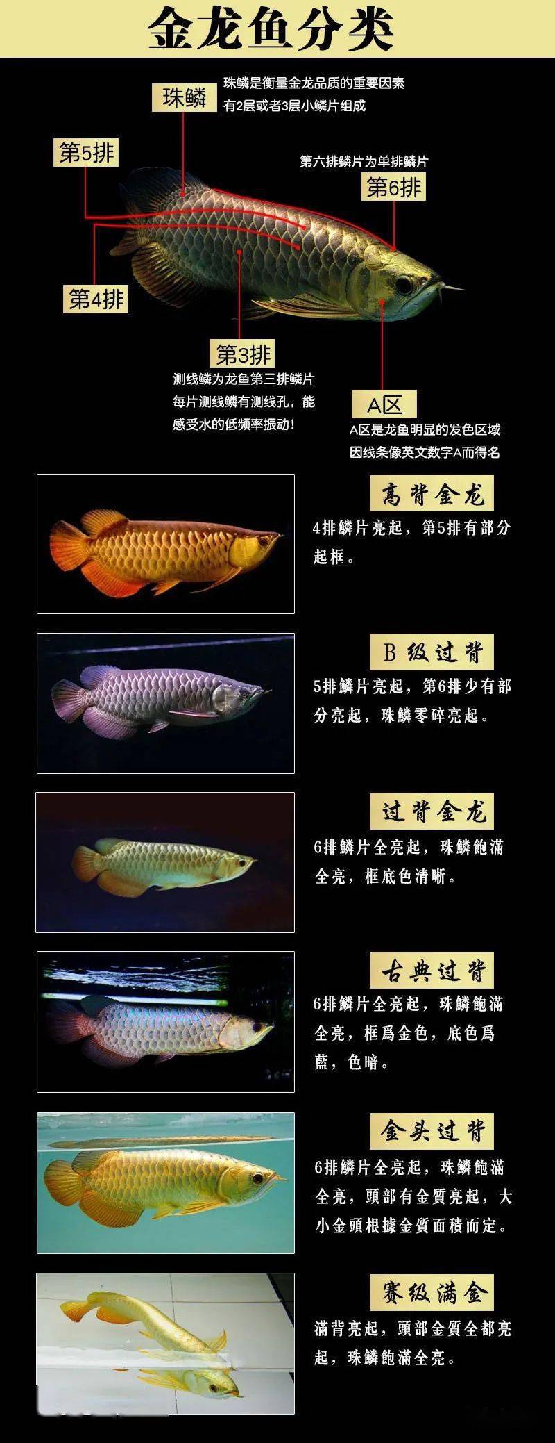 坤甸好不好