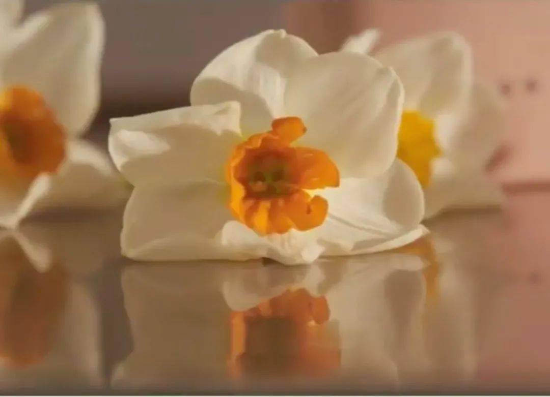 粉色|梦幻七夕，我和粉色香水有个约会！