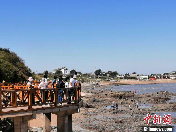 发展|辽宁葫芦岛发展海洋渔业 为海洋生物安“家”