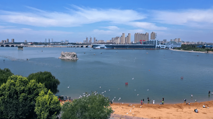 滨州中海:夏日风景美如画