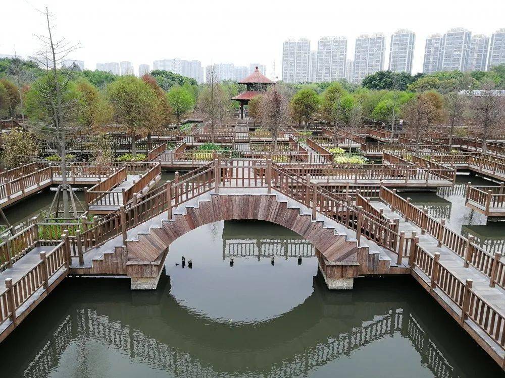 药物|医生，哪种降尿酸药最好？？？