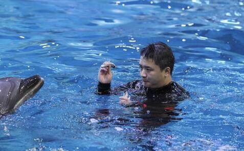 游泳|洛阳165斤小伙扮演油腻美人鱼走红，网友：实力证明游泳不能减肥