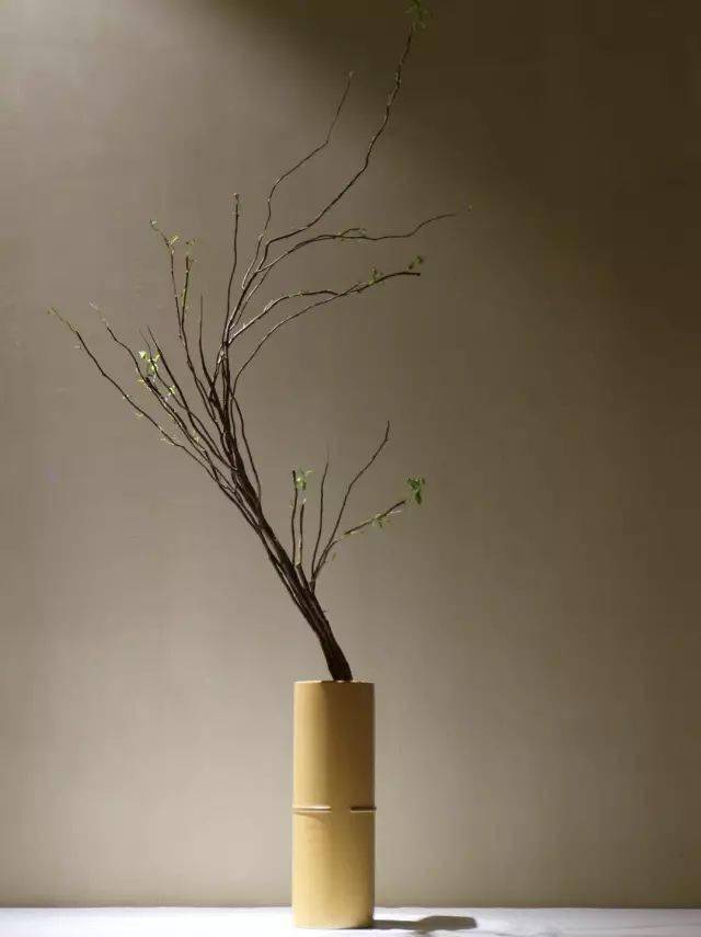 花道美学：未生流_花矩