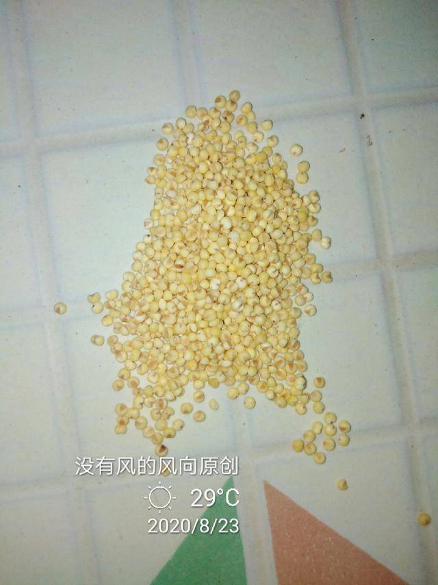 c1555f47513d47fb8ecc3f3dd875b40a.jpeg