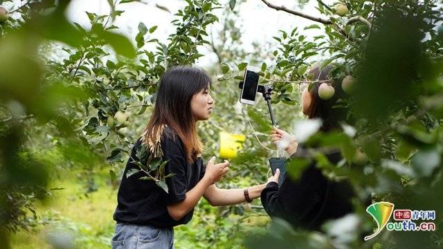 直播|设计包装、直播带货！大学生暑期助力农民销售农产品