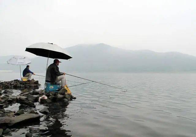 一名合格的钓鱼人,应该是来自黑坑还是野钓_手机搜狐网