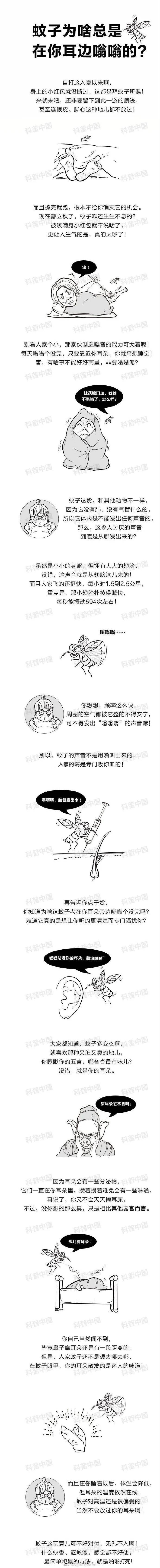 声音|为什么一关灯就有蚊子嗡嗡叫，开灯就没有？没想到，竟然这么＂重口味＂