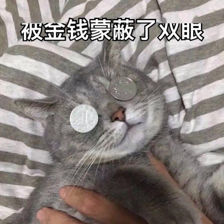 66733cb622234fdf934491386d5d5846.jpeg
