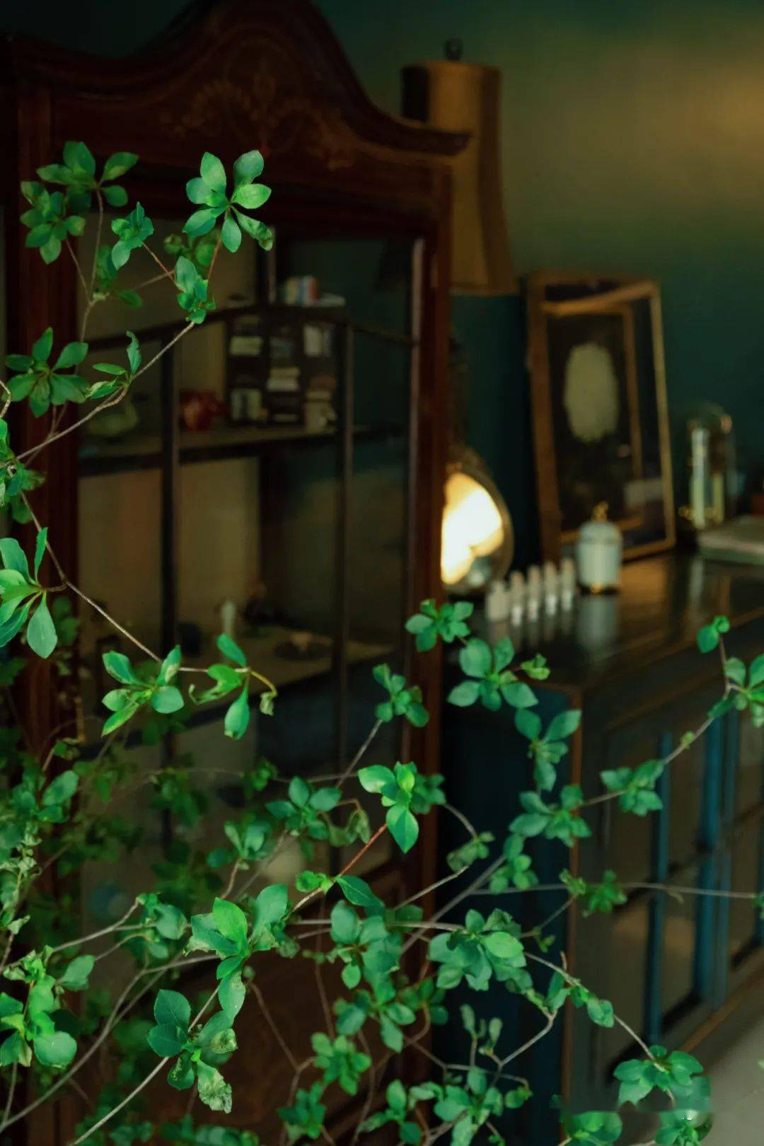 双肩包|四年了,我终于找到了好看耐用的完美双肩包!