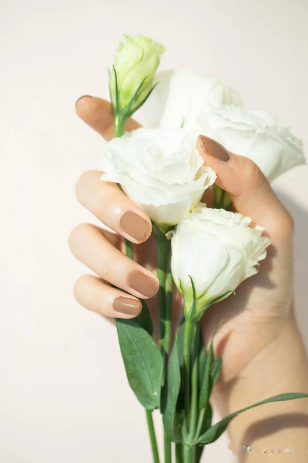 双肩包|四年了,我终于找到了好看耐用的完美双肩包!