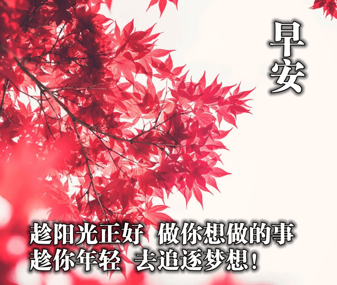 2020早上好问候语动态图片大全早晨祝福唯美动画表情图